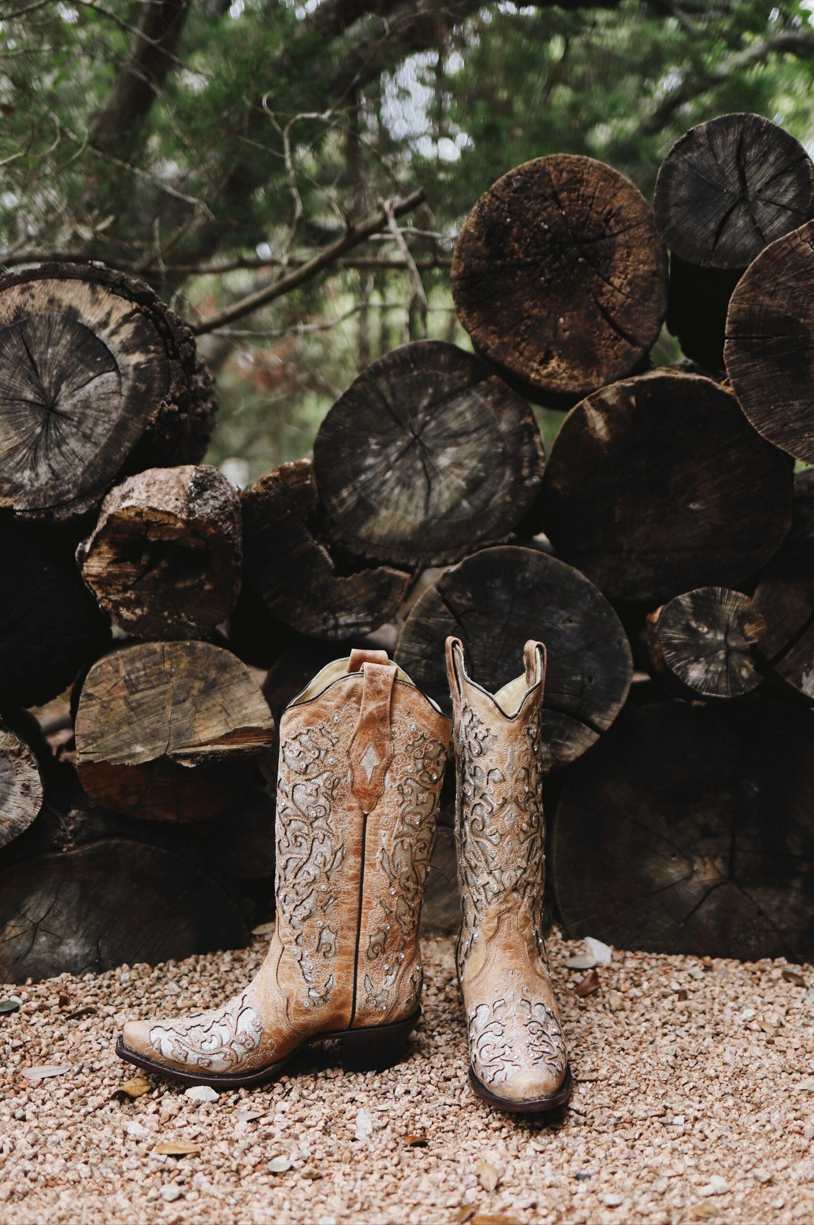 Boots in front of logs